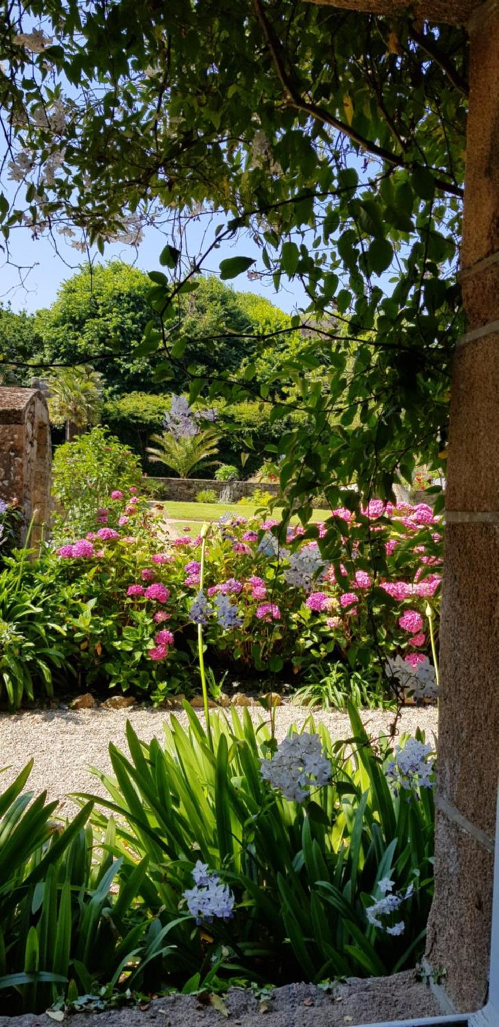 Saint-Quay-Perros Manoir De Keringant 게스트하우스 외부 사진